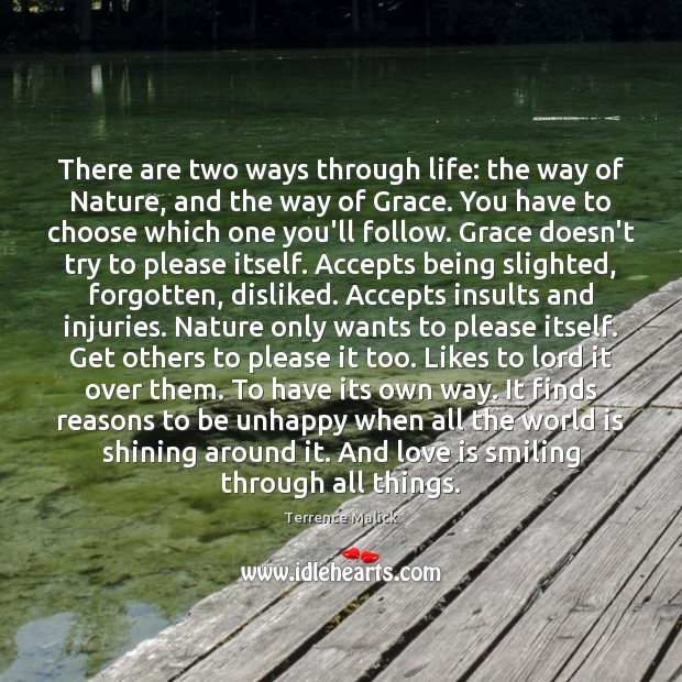 There are two ways through life: the way of Nature, and the Terrence Malick Picture Quote
