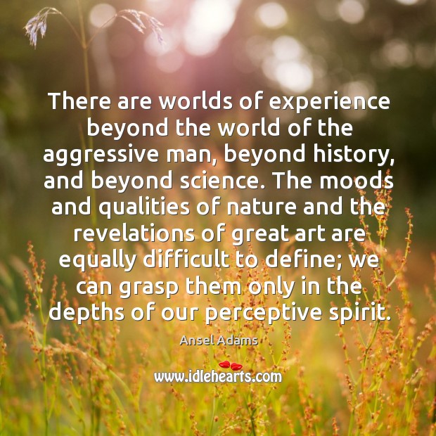 There are worlds of experience beyond the world of the aggressive man, beyond history Ansel Adams Picture Quote