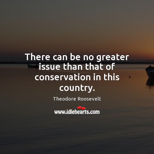 There can be no greater issue than that of conservation in this country. Theodore Roosevelt Picture Quote