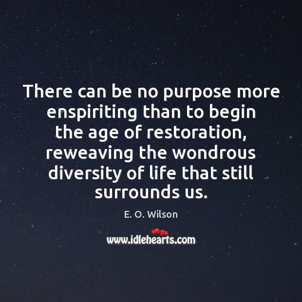 There can be no purpose more enspiriting than to begin the age E. O. Wilson Picture Quote