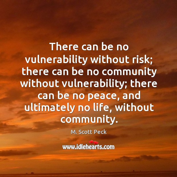 There can be no vulnerability without risk; there can be no community without vulnerability M. Scott Peck Picture Quote