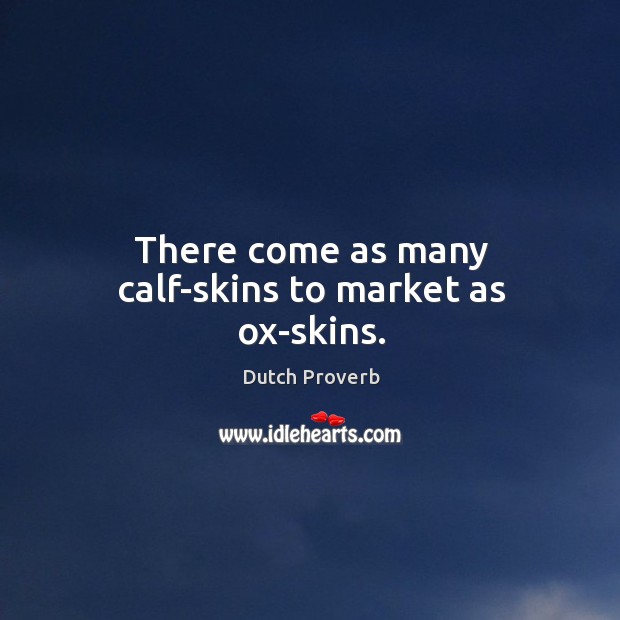 There come as many calf-skins to market as ox-skins. Dutch Proverbs Image
