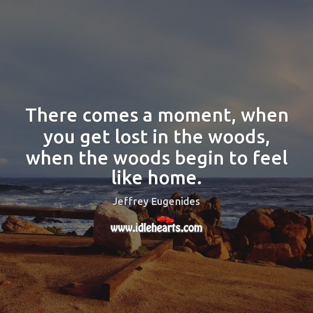 There comes a moment, when you get lost in the woods, when Jeffrey Eugenides Picture Quote