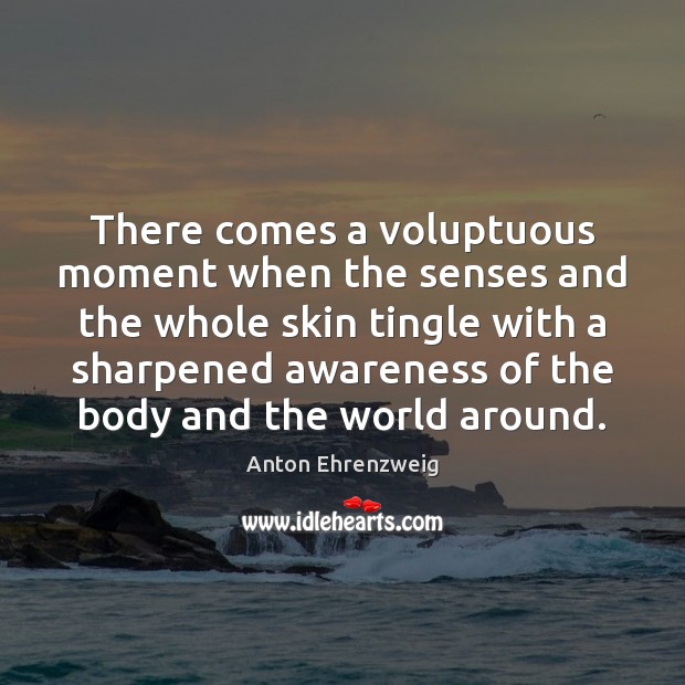 There comes a voluptuous moment when the senses and the whole skin Anton Ehrenzweig Picture Quote