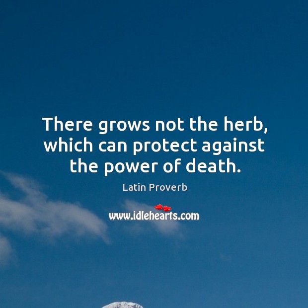 There grows not the herb, which can protect against the power of death. Latin Proverbs Image