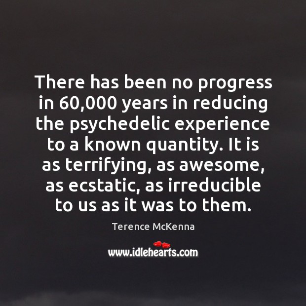 There has been no progress in 60,000 years in reducing the psychedelic experience Terence McKenna Picture Quote