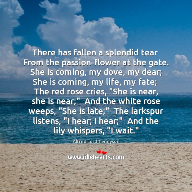 There has fallen a splendid tear  From the passion-flower at the gate. Alfred Lord Tennyson Picture Quote
