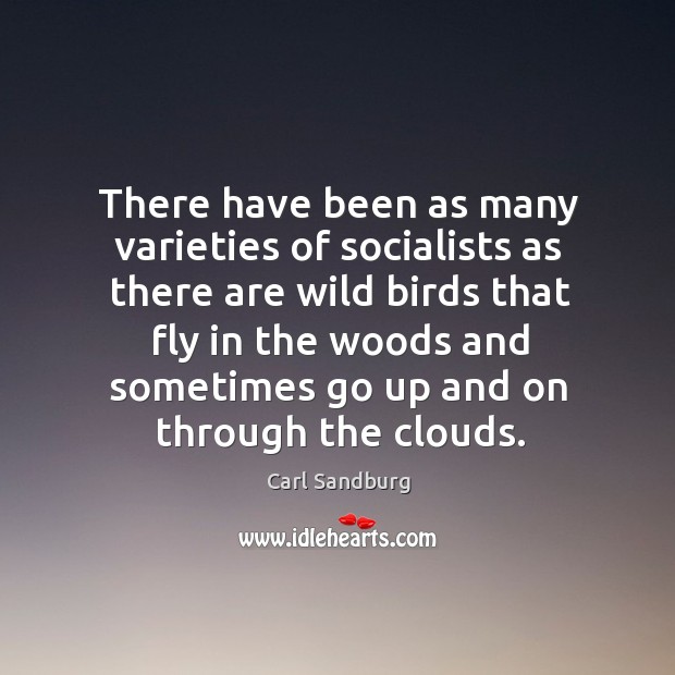There have been as many varieties of socialists as there are wild birds that fly in the Carl Sandburg Picture Quote