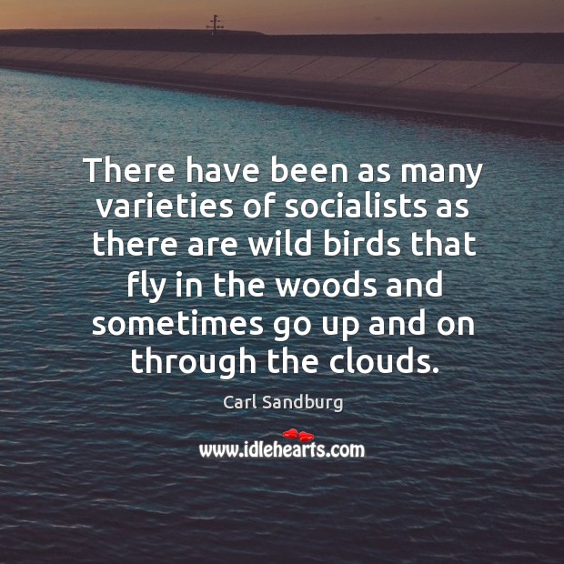 There have been as many varieties of socialists as there are wild birds that fly in Carl Sandburg Picture Quote