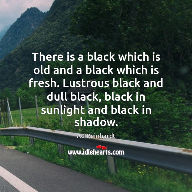 There is a black which is old and a black which is Ad Reinhardt Picture Quote