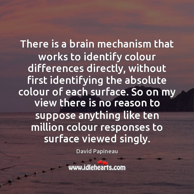 There is a brain mechanism that works to identify colour differences directly, David Papineau Picture Quote