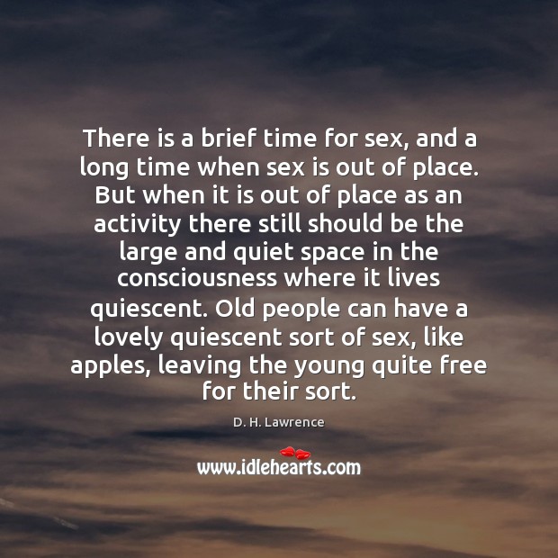 There is a brief time for sex, and a long time when D. H. Lawrence Picture Quote