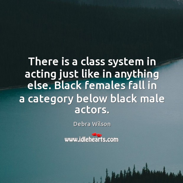 There is a class system in acting just like in anything else. Debra Wilson Picture Quote