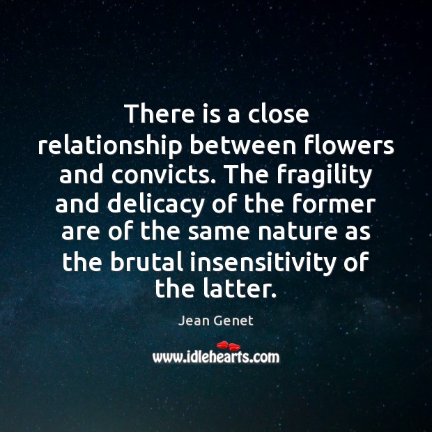 There is a close relationship between flowers and convicts. The fragility and Jean Genet Picture Quote