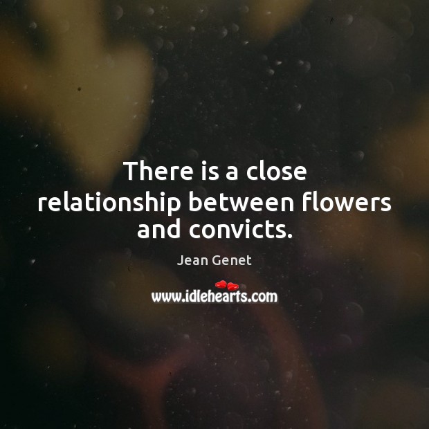 There is a close relationship between flowers and convicts. Image