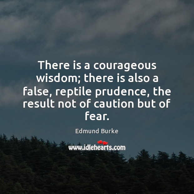 There is a courageous wisdom; there is also a false, reptile prudence, Edmund Burke Picture Quote
