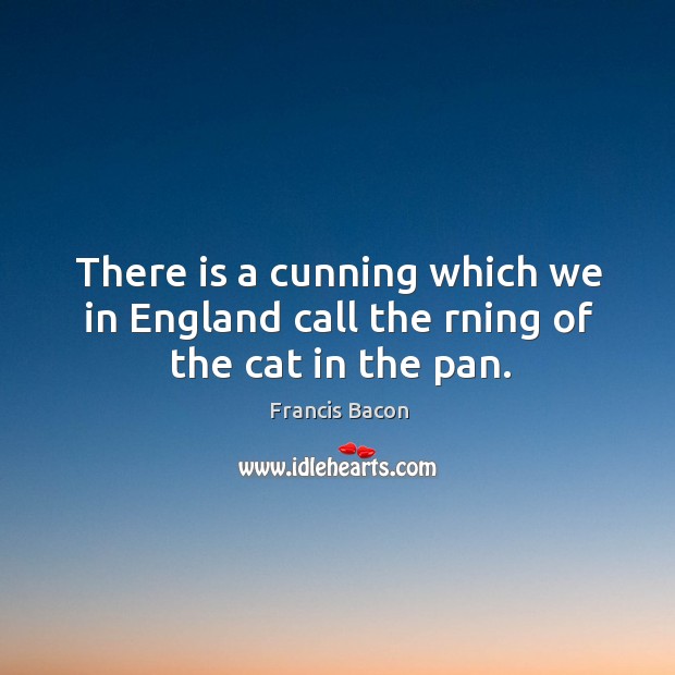 There is a cunning which we in England call the rning of the cat in the pan. Francis Bacon Picture Quote
