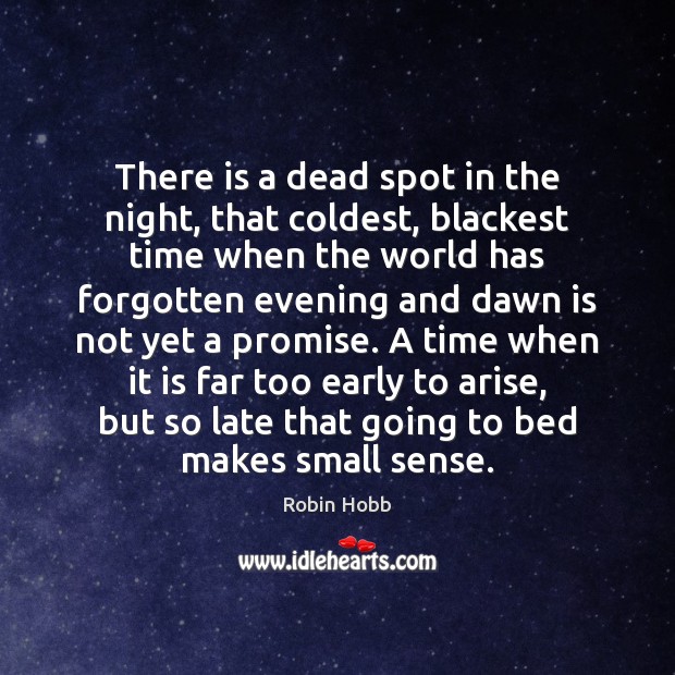 There is a dead spot in the night, that coldest, blackest time Robin Hobb Picture Quote