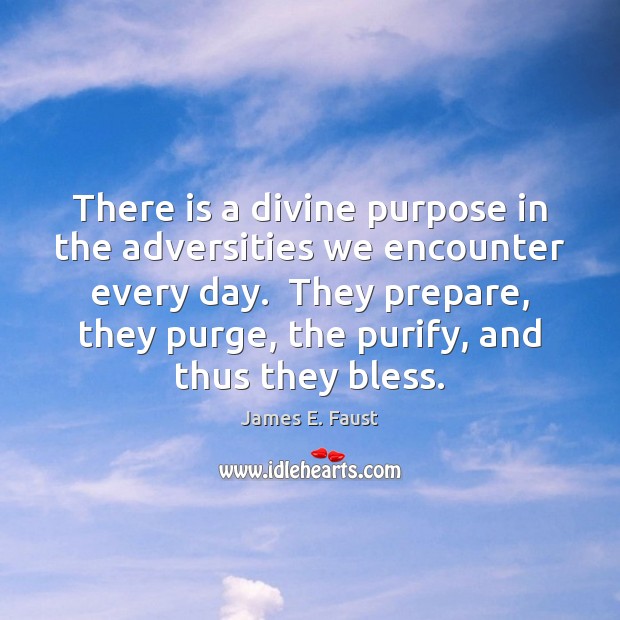 There is a divine purpose in the adversities we encounter every day. James E. Faust Picture Quote