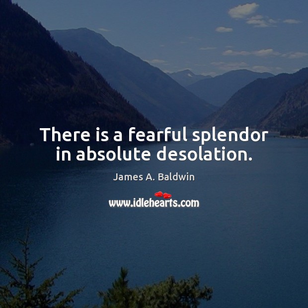 There is a fearful splendor in absolute desolation. James A. Baldwin Picture Quote