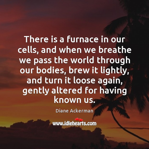 There is a furnace in our cells, and when we breathe we Diane Ackerman Picture Quote