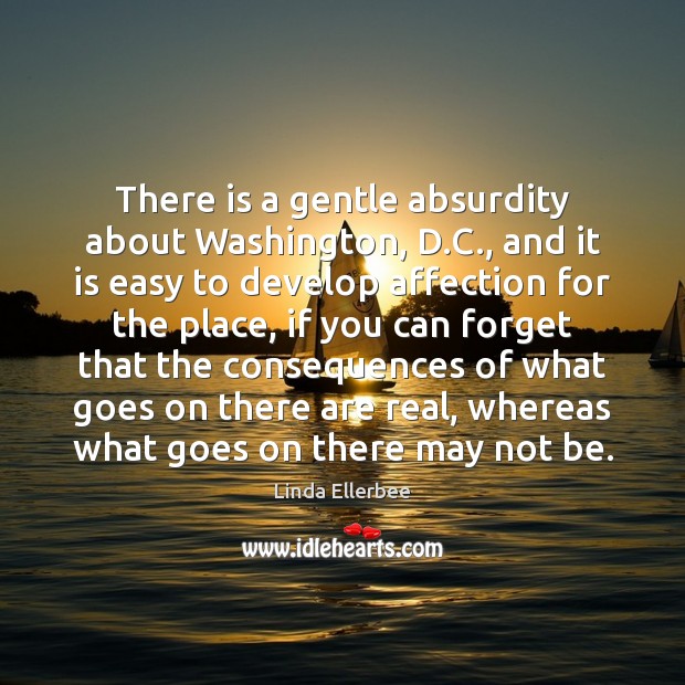 There is a gentle absurdity about Washington, D.C., and it is Image