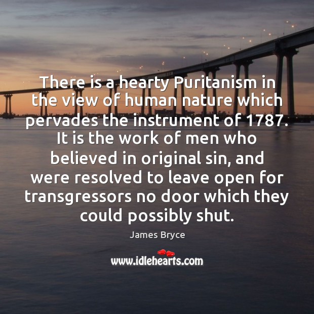 There is a hearty Puritanism in the view of human nature which James Bryce Picture Quote