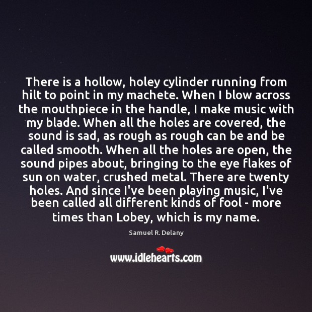 There is a hollow, holey cylinder running from hilt to point in Samuel R. Delany Picture Quote