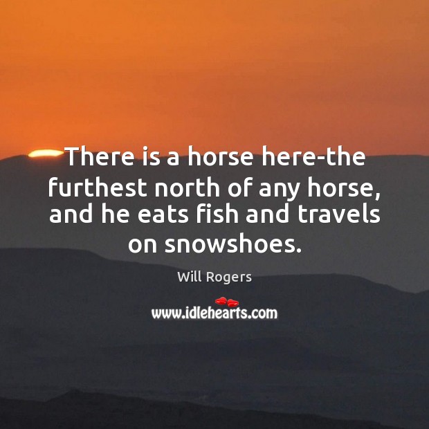 There is a horse here-the furthest north of any horse, and he Will Rogers Picture Quote