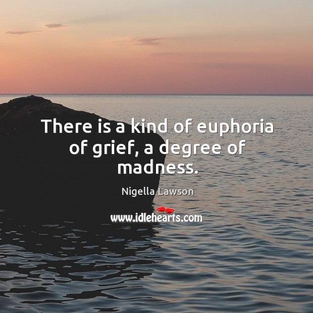 There is a kind of euphoria of grief, a degree of madness. Image