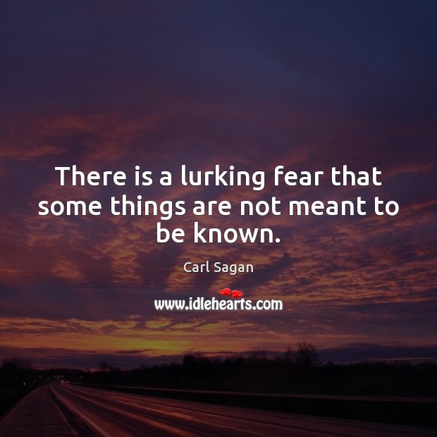 There is a lurking fear that some things are not meant to be known. Carl Sagan Picture Quote