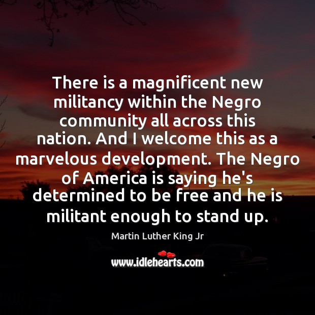 There is a magnificent new militancy within the Negro community all across Martin Luther King Jr Picture Quote
