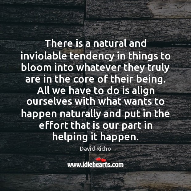 There is a natural and inviolable tendency in things to bloom into David Richo Picture Quote