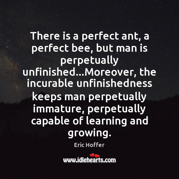 There is a perfect ant, a perfect bee, but man is perpetually Eric Hoffer Picture Quote