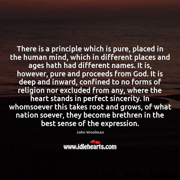 There is a principle which is pure, placed in the human mind, John Woolman Picture Quote