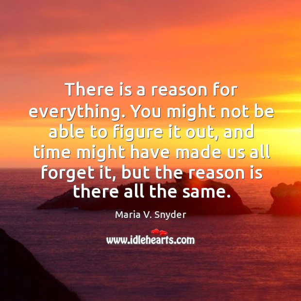 There is a reason for everything. You might not be able to Maria V. Snyder Picture Quote