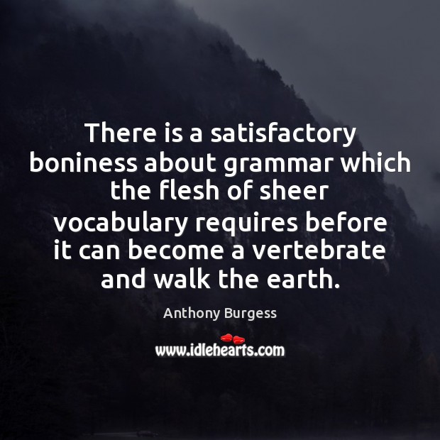 There is a satisfactory boniness about grammar which the flesh of sheer Image