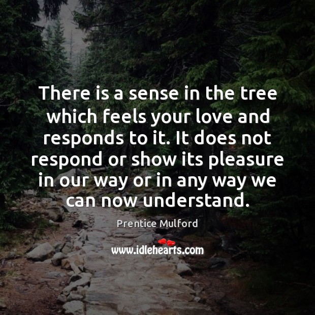 There is a sense in the tree which feels your love and Image