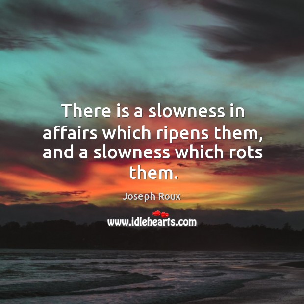 There is a slowness in affairs which ripens them, and a slowness which rots them. Joseph Roux Picture Quote