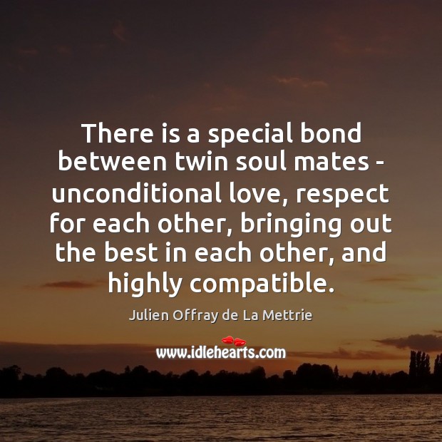 Twin soul mates