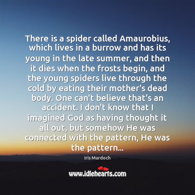 There is a spider called Amaurobius, which lives in a burrow and Iris Murdoch Picture Quote