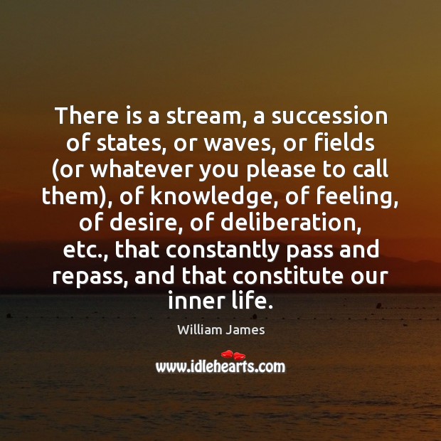 There is a stream, a succession of states, or waves, or fields ( William James Picture Quote