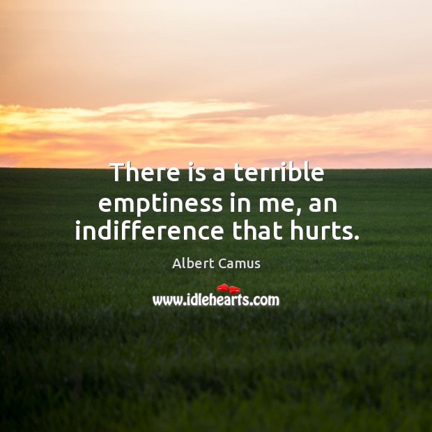 There is a terrible emptiness in me, an indifference that hurts. Albert Camus Picture Quote