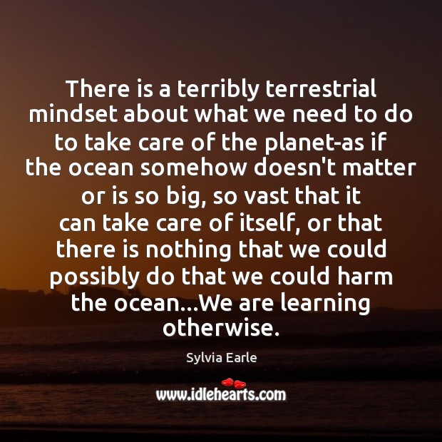 There is a terribly terrestrial mindset about what we need to do Sylvia Earle Picture Quote