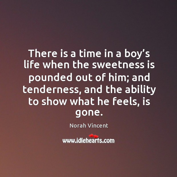 There is a time in a boy’s life when the sweetness Norah Vincent Picture Quote