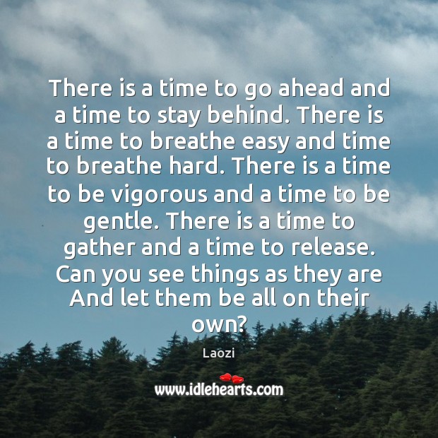 There is a time to go ahead and a time to stay Laozi Picture Quote