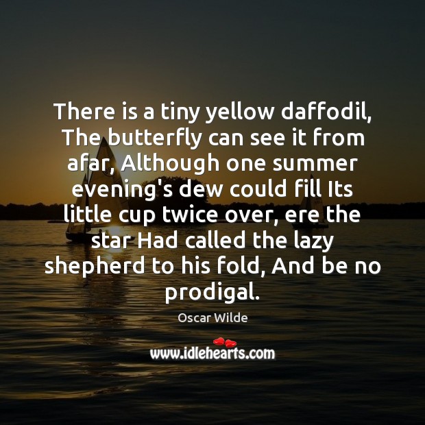 There is a tiny yellow daffodil, The butterfly can see it from Oscar Wilde Picture Quote