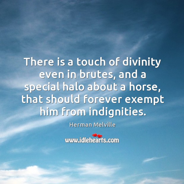There is a touch of divinity even in brutes, and a special halo about a horse Herman Melville Picture Quote