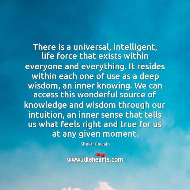 There is a universal, intelligent, life force that exists within everyone and Image