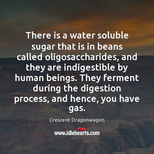 There is a water soluble sugar that is in beans called oligosaccharides, Crescent Dragonwagon Picture Quote